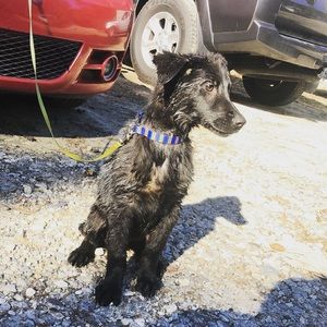 Meet your Posher, Yasmin